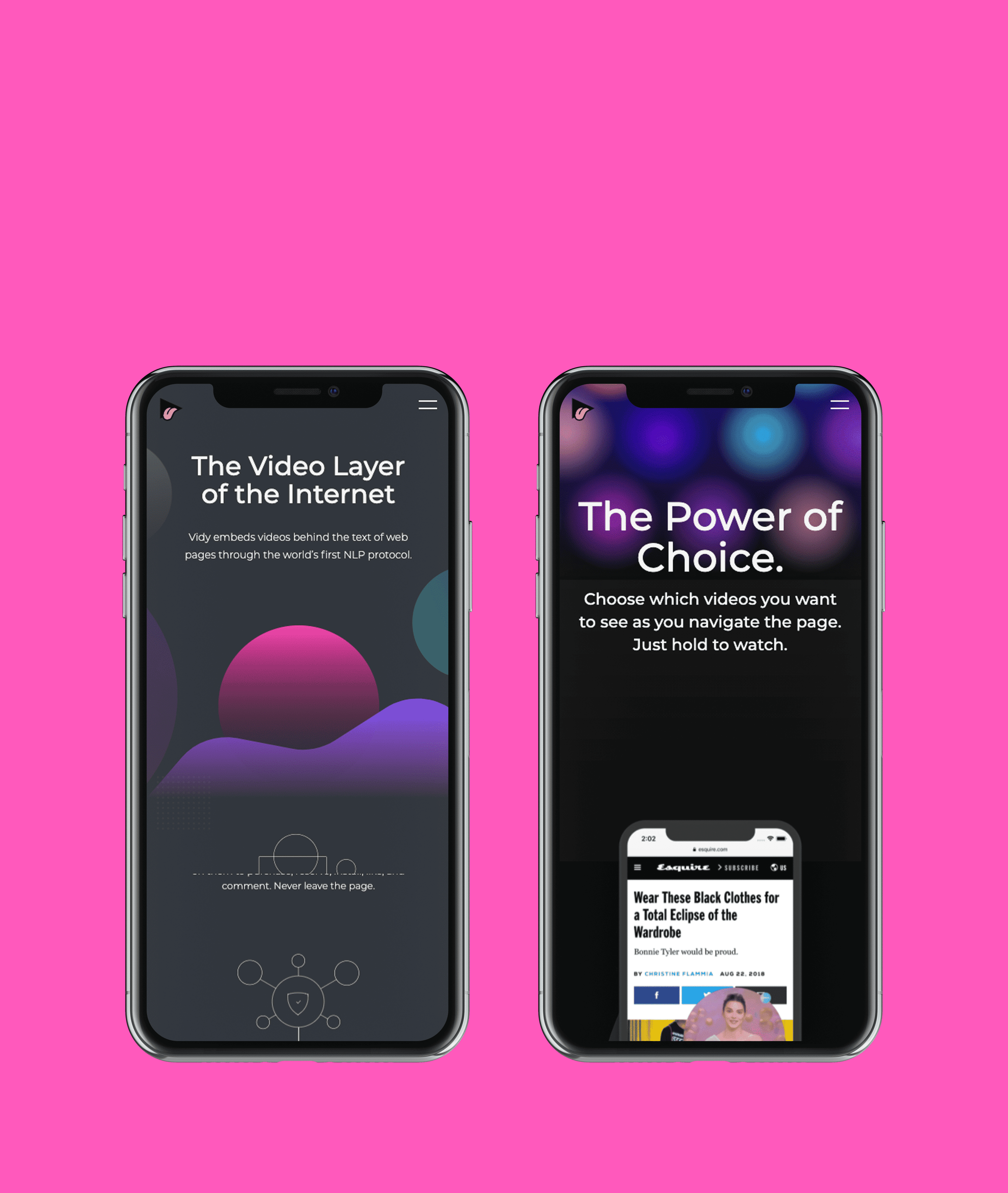 vidy